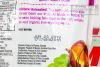 Trái cây hữu cơ sấy khô Fruit Fusion Berry Power 680g của Mỹ
