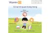 Thuốc bổ sung vitamin D cho trẻ em Enfamil D-Vi-Sol 50ml