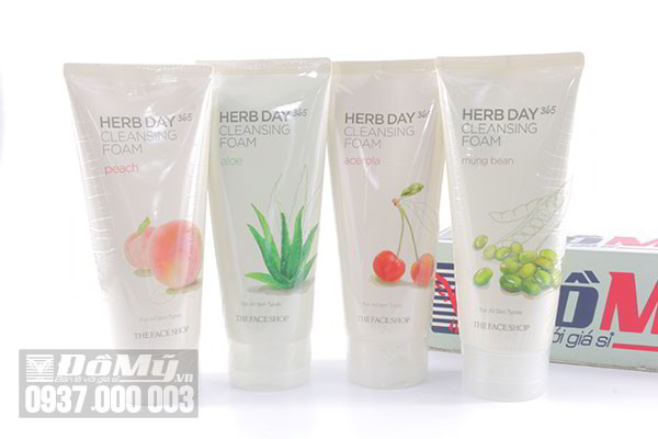 Sữa rửa mặt Herb Day 365 Cleansing Foam The Face Shop 170ml của Hàn Quốc