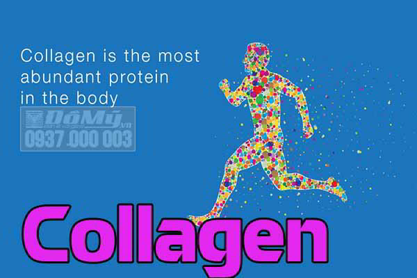 Bất ngờ với những công dụng ít ai biết của collagen