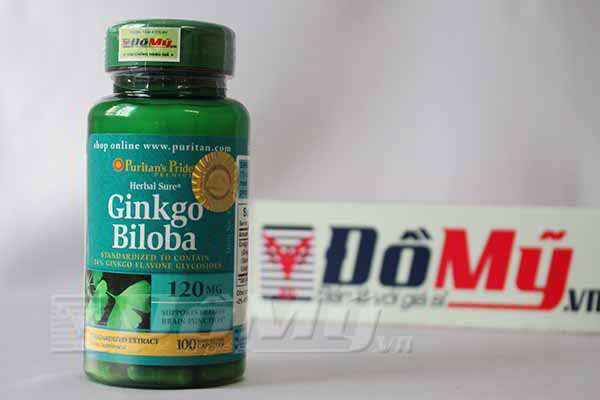 Viên uống giúp tăng cường trí nhớ Ginkgo Biloba 120 mg Puritan's Pride, hộp 100 viên của Mỹ