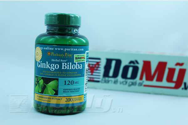 Viên uống giúp tăng cường trí nhớ Ginkgo Biloba 120 mg Puritan's Pride, hộp 200 viên của Mỹ