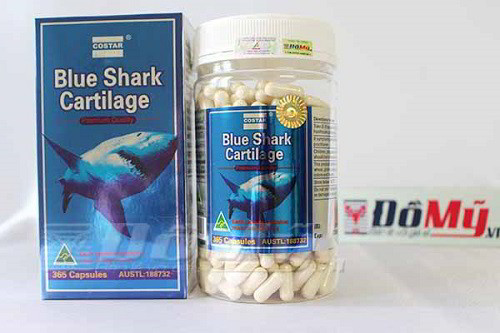 Hướng dẫn cách dùng viên uống shark cartilage đạt hiệu quả tốt nhất